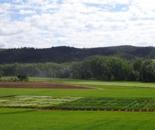 Campos de Ensayo del CIAF