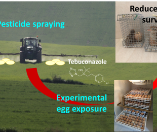 Revista Environmental Science &amp; Technology