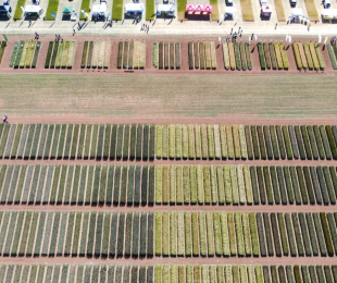 IRIAF. Campos de Ensayo