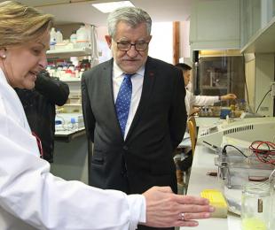 La Profesora Llanos Palop