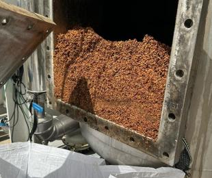 Antioxidantes de las Nueces de Nerpio. CLaMber. IRIAF