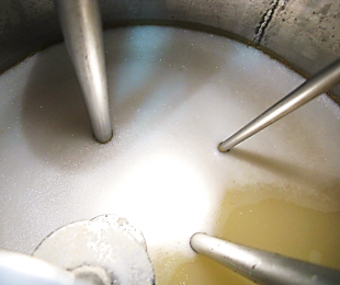 Uso de levaduras alternativas en vinos