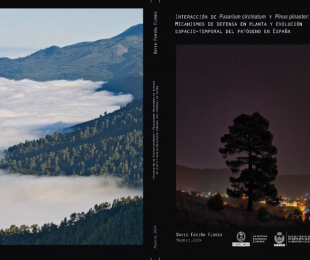 Tesis “Interacción de Fusarium circinatum y Pinus pinaster:&quot;