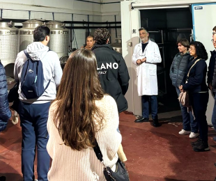 Alumnos IES Gregorio Prieto de Valdepeñas