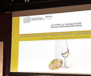 Presentación Adela Mena