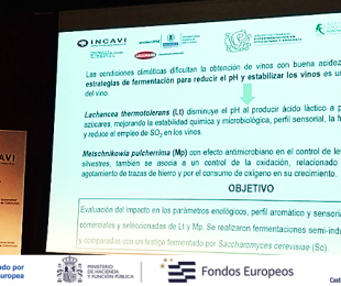 Estudio de Pedro Miguel Izquierdo