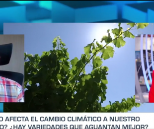 CMMedia. Entrevista a Esteban García Romero