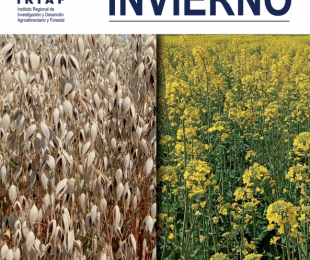 Portada revista IRIAF nº90