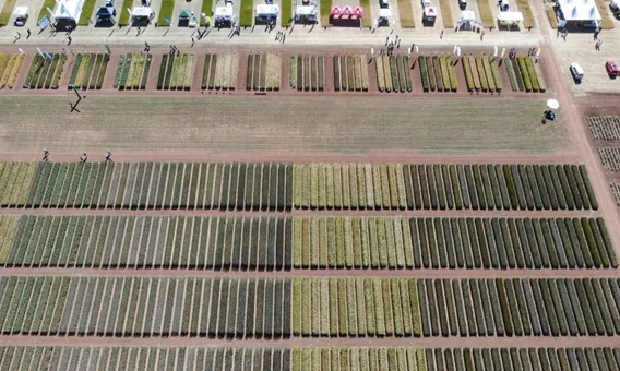 IRIAF. Campos de Ensayo de Cultivos Herbáceos Extensivos. 3