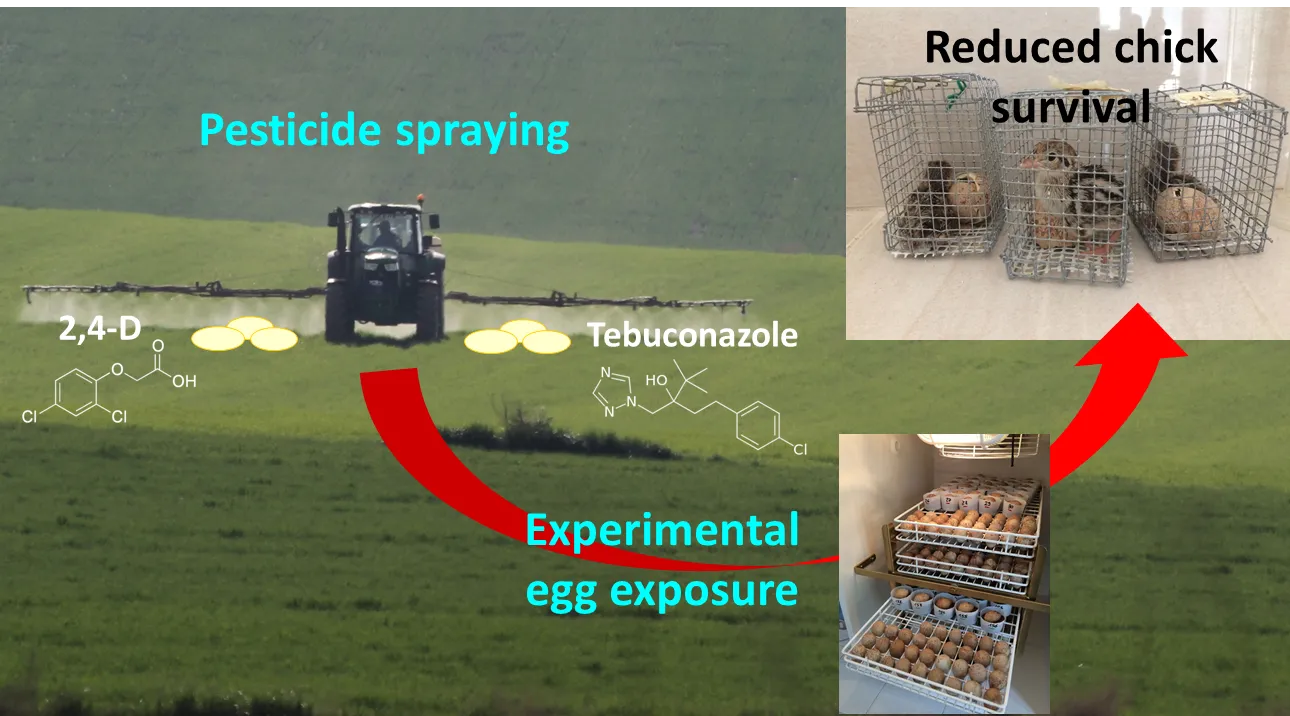 Revista Environmental Science &amp; Technology
