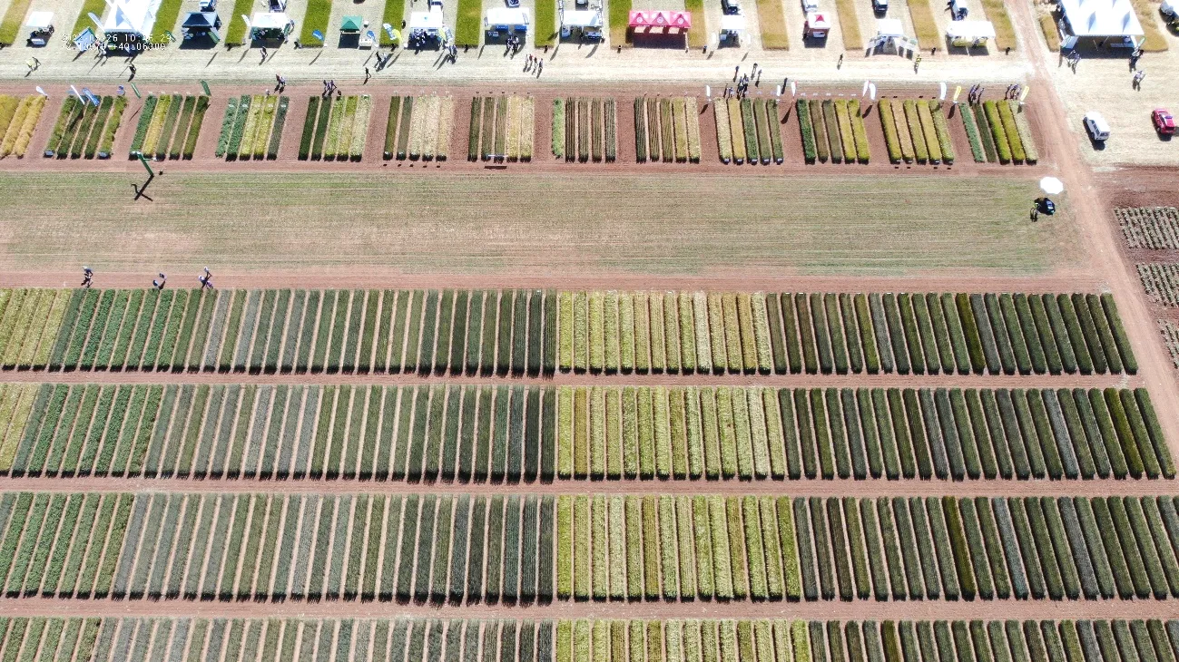 IRIAF. Campos de Ensayo