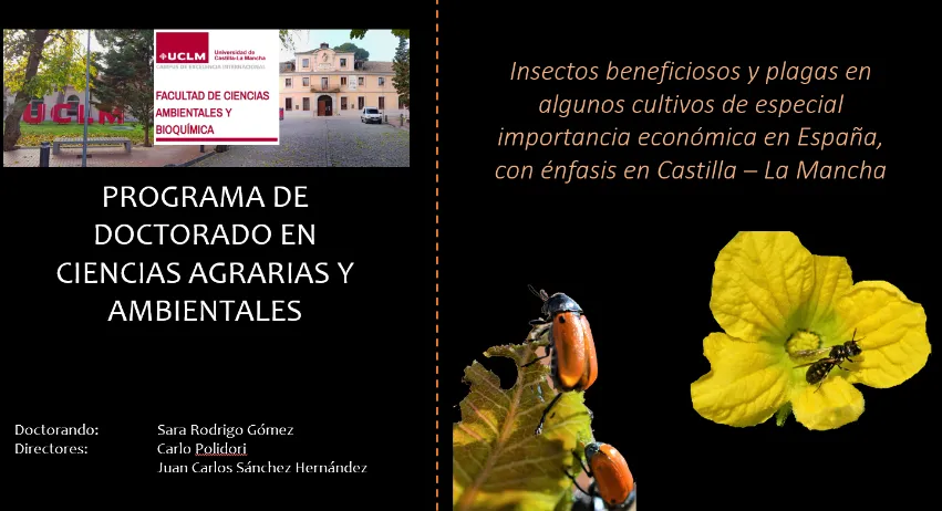 IRIAF. Tesis Doctoral realizada por Dña. Sara Rodrigo Gómez