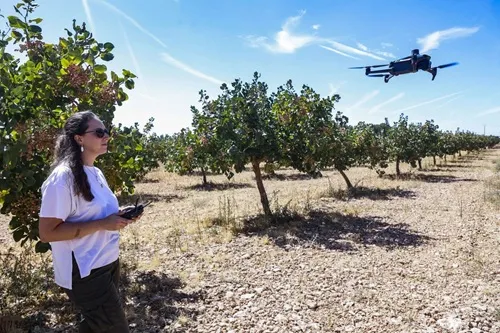 Raquel Martínez Peña, uso de drones para conocer el estado de los árboles. CIAG