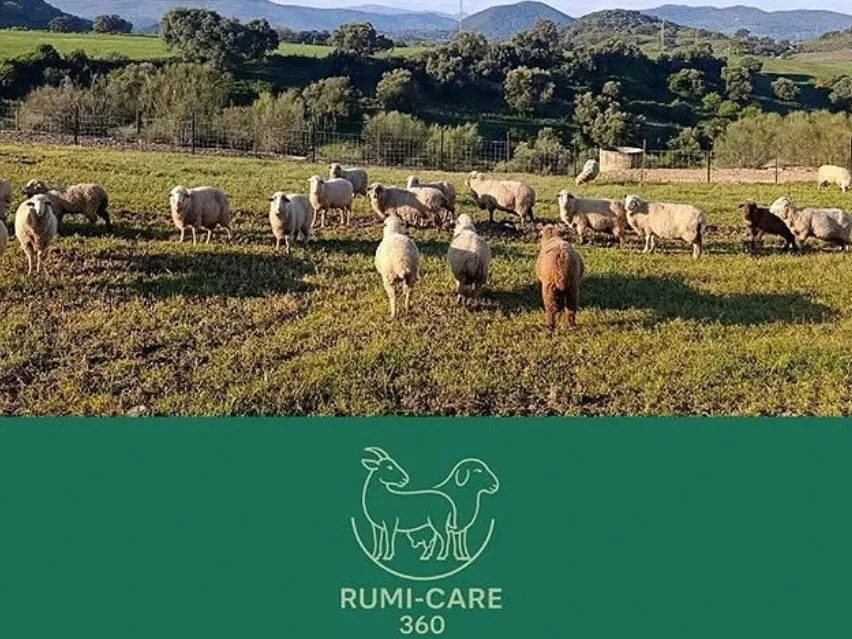 GO-RUMI-CARE-360