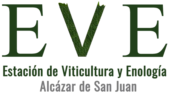 EVE logo
