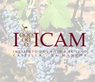 Portada IVICAM_3