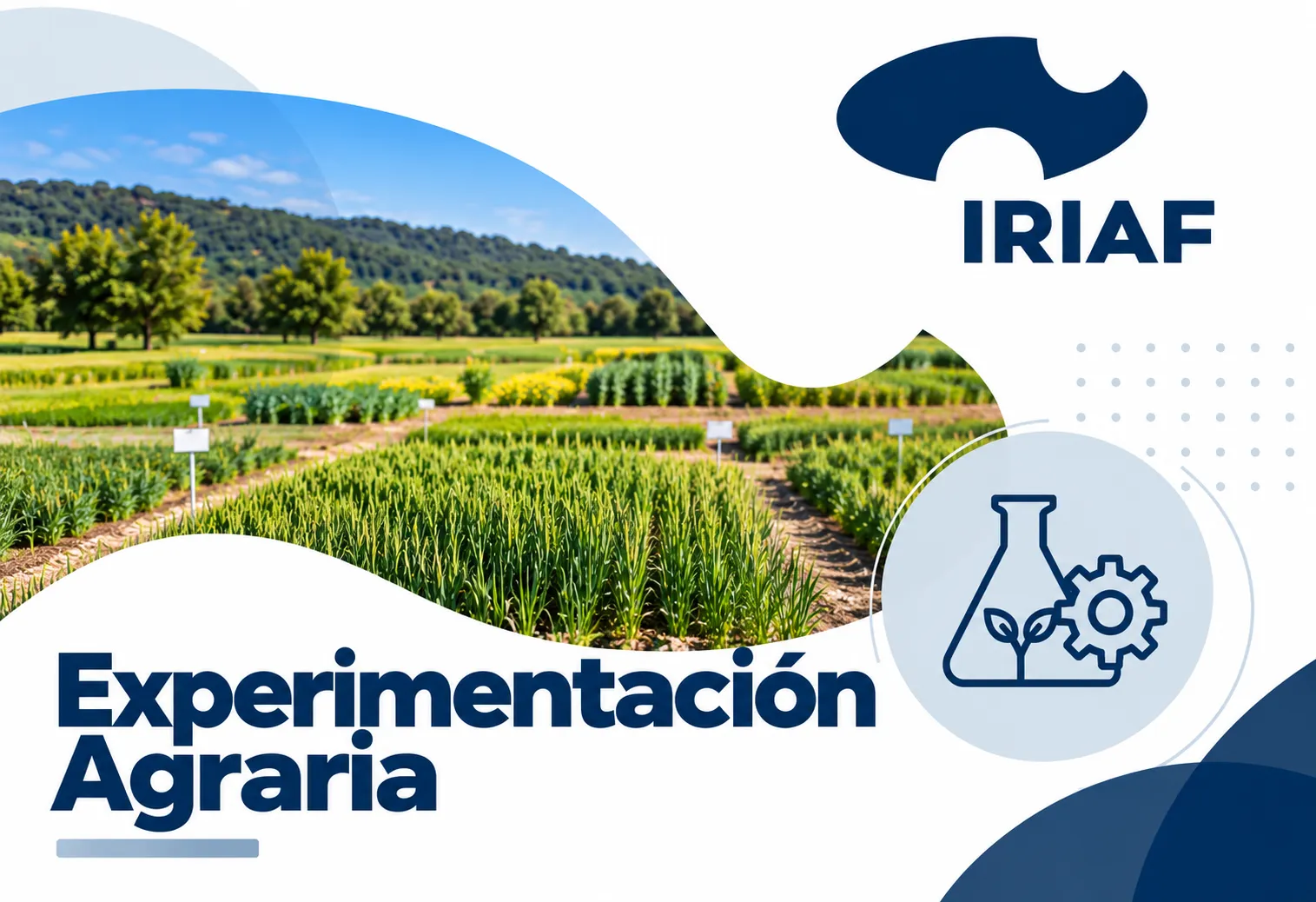 Experimentación Agraria IRIAF