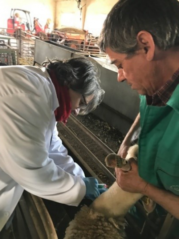Proyecto iSAGE. Recogida de muestras en las instalaciones de La Nava del Conejo. IRIAF