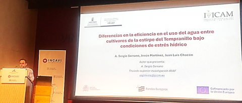 37ª Jornada del Grupo de Trabajo Experimentación en Viticultura y Enología
