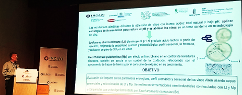 37ª Jornada del Grupo de Trabajo Experimentación en Viticultura y Enología